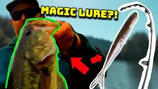 SO MANY BASS! (Summer Finesse Bass Fishing)
