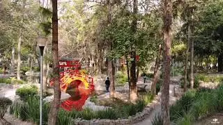 Parque Masayoshi Ohira Ciudad de M&eacute;xico Drone DJI