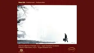 Violin Sonata in D Major: III. Largo con espressione - Allegro poco sostenuto, ma con fuoco