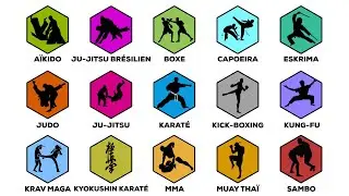 Chaque Type d'art Martial Expliqué En 15 Minutes