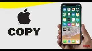 Does Apple copy