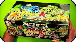 FROGS and CO Figures  Ƹ̴Ӂ̴Ʒ FULL BOX DeAgostini BLIND BAG UNBOXING