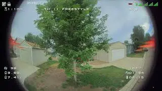 Tiny Hawk 2 freestyle, HDZero goggles, Nano v2 - 1080p, tree wars