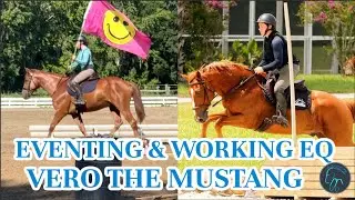 Eventing & Learning Working Equitation! | Vero 15