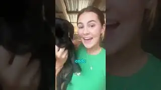 Essa garota queria adotar um cachorro de um abrigo, mas só podia escolher um dos dois.