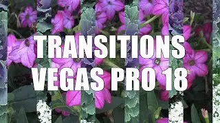 Transitions Vegas Pro 18 - My Opinion