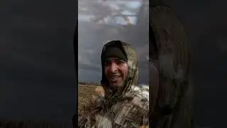 ОЧЕНЬ МНОГО ГУСЯ В НЕБЕ! НЕ УСПЕВАЕМ ЗАРЯЖАТЬ ПАТРОНЫ!  #hunting #shortsvideo