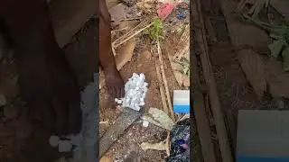 Vaudou du B&eacute;nin : rituel ancien