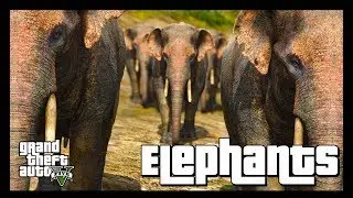 GTA 5 Wildlife Documentary | Elephants