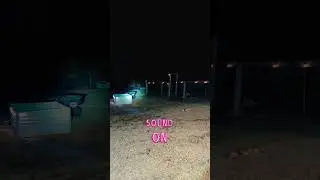 Coyote Trying To Eat The Baby Goats Going To Keep The Guard Dogs Busy Tonight! #dogs #coyote #goats