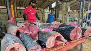 Amazing Biggest Fish Cutting Skills | Roadside Fisherman Hard Work