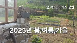2025년 봄,여름,가을(숲 속 아이리스 정원)