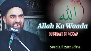 Allama Syed Ali Raza Rizvi Whatsapp Status | Shia Status | Shia Whatsapp Status #facts #shorts #trd
