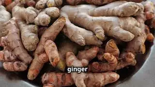Top 10 Herbs for Respiratory Health in 10 minutes!