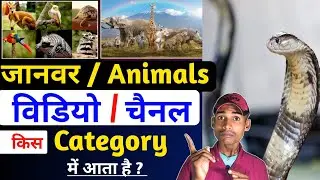 animal video kis category mein aata hai | animals video category | animals category | Swar Santosh