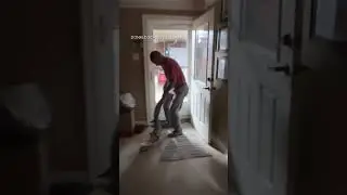 Alligator removed from home after it entered through dog door