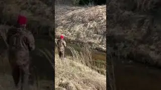 Ko darīt, ja drons ielido kokā! Ir jākāpj kokā!