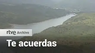 ¿Te acuerdas? Los inicios de la reforestación | RTVE Archivo