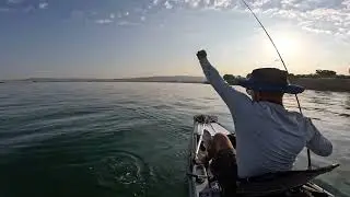 Τσιπούρες με ζόκα - καβούρι ! Dorada (Gilt head) fishing with crab bait !