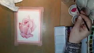 Aquarel Roos