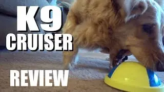 K9 Cruiser Review: Sliding Dog Toy | As Seen on TV