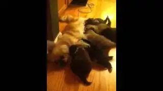 Feeding time!