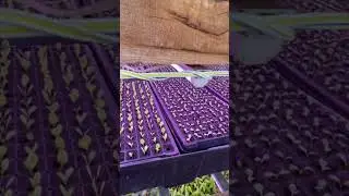 Таблица приливов и отливов
