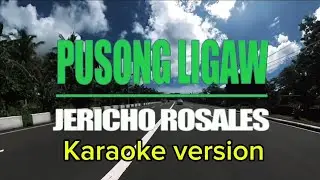 PUSONG LIGAW - Jericho Rosales | karaoke version 