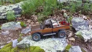 v1c1 at cheaha state park