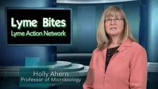 Lyme disease controversy with Prof. Holly Ahern