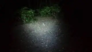 Olight S2A baton 2AA 550 люмен