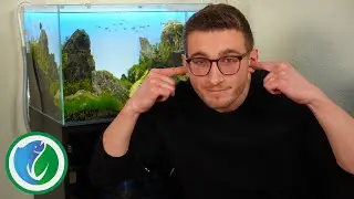 Aquarium-Filter zu laut? Mach deinen Filter unh&ouml;rbar!