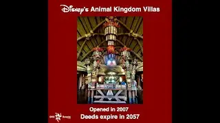 Give the Gift of Disney Magic ✨ New DVC Contract Revealed Disney&rsquo;s Animal Kingdom Lodge &mdash; Rare 🦒✨