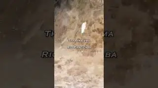 Piracema 2026 Rio Piracicaba Fish Jumping Waterfall #fish #brazil #waterfall