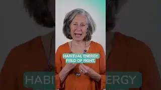 Soul embodiment and alignment with The Radiant Soul Programme