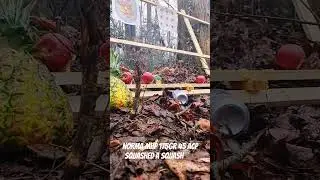 NORMA MHP 175GR 45 ACP  squashed A squash  #1911 #45auto #fruitcutting #trending #shooting #freedom