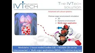 Advanced In Vitro Models - A Game Changer for Predictive Research