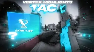 Vertex RP Highlights #1 | Tace Ro$$o | The end feat. skript.gg?