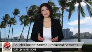 South Florida Animal Removal Services (561) 513-5008 Boca Raton FL