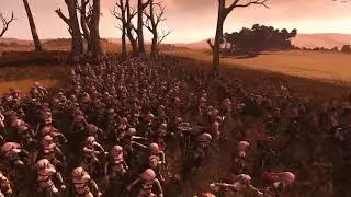 1425 Witch Elves VS 1425 Wardancers - Total War: Warhammer 2