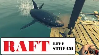 Raft - Live Stream