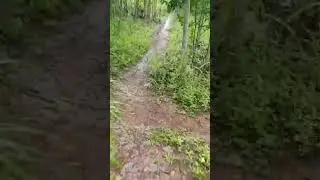 Bersepeda sendirian, hujan, becek, menunggu lama hingga hujan reda! #pedalview  #bikeenthusiast