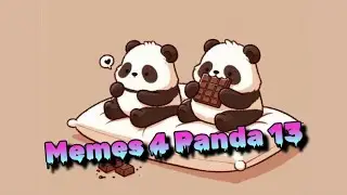 Memes 4 Panda 13 | @realpandaqueen 