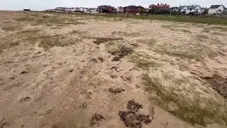 New mini dunes along outer edge of vegetation. Walk from Kings gap to Trinity road -August 2025. 1/2