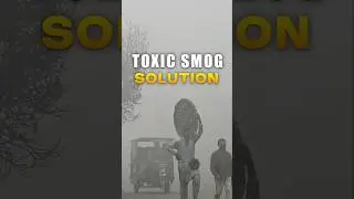 Solution For Smog In Punjab | #shorts #youtubeshorts #smog