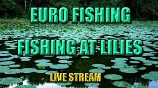 Euro Fishing - New DLC Lake Called Lilies, featuring 3 boss fish