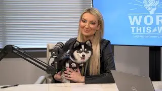 Service Animals, the ADA, and Workplace Rights