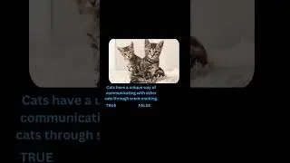Cats have a unique way of communicating with other cats through scent marking.