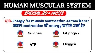 Muscular system mcq questions | Muscular system mcq questions in hindi | Skeleton System