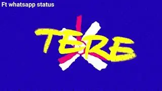 WhatsApp status